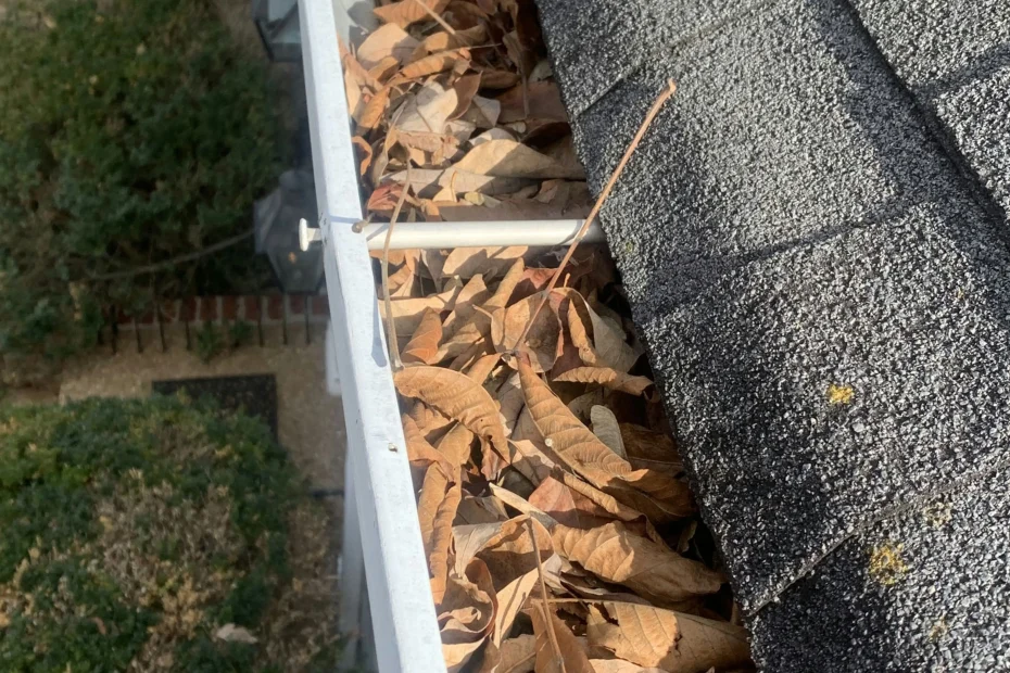 Gutter Cleaning Miami Beach FL